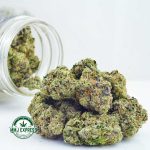 Buy Cannabis Northern Lights AAAA at MMJ Express Online Shop