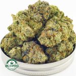 Buy Cannabis Platinum Alien Cookies AAAA at MMJ Express Online Shop