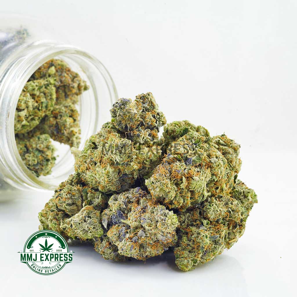 Buy Cannabis Platinum Alien Cookies AAAA at MMJ Express Online Shop