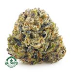 Buy Cannabis Gas Cough AAAA at MMJ Express Online Shop