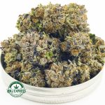 Buy Cannabis Gas Cough AAAA at MMJ Express Online Shop