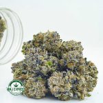 Buy Cannabis Gas Cough AAAA at MMJ Express Online Shop