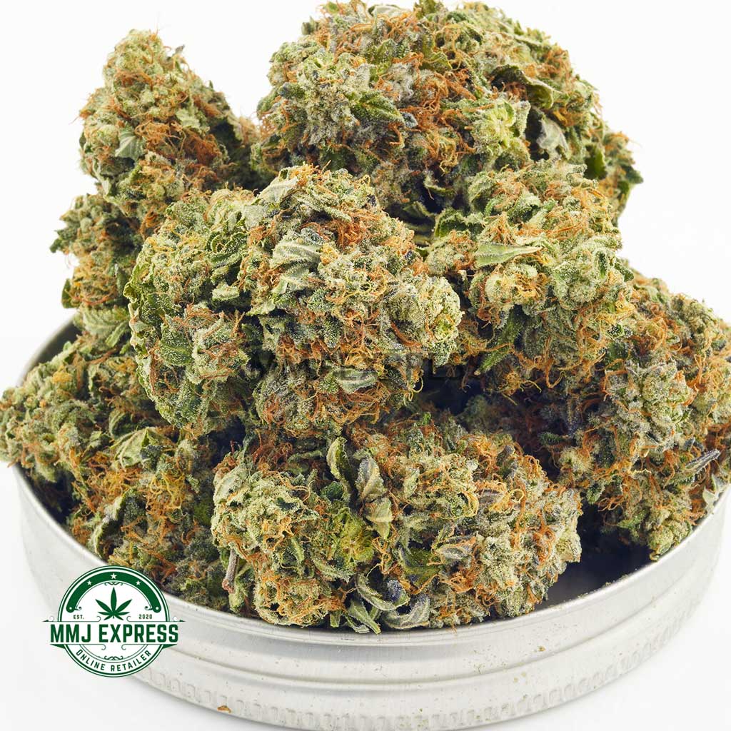 Buy Cannabis Wonder Kid AAA at MMJ Express Online Shop