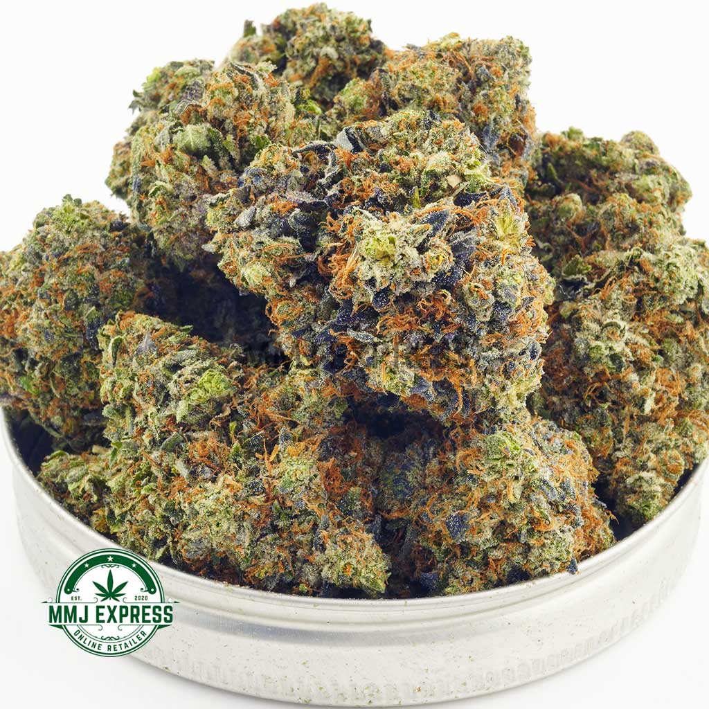 Buy Cannabis Hippie Crasher AAAA at MMJ Express Online Shop