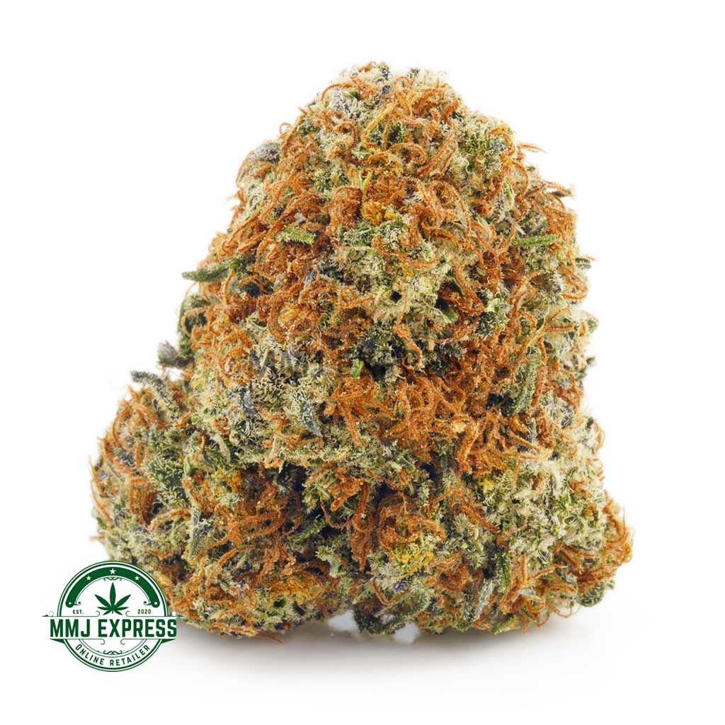 Buy Cannabis Gelato AA at MMJ Express Online Shop