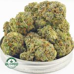 Buy Cannabis Layer Cake AAAA at MMJ Express Online Shop