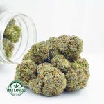 Buy Cannabis Layer Cake AAAA at MMJ Express Online Shop