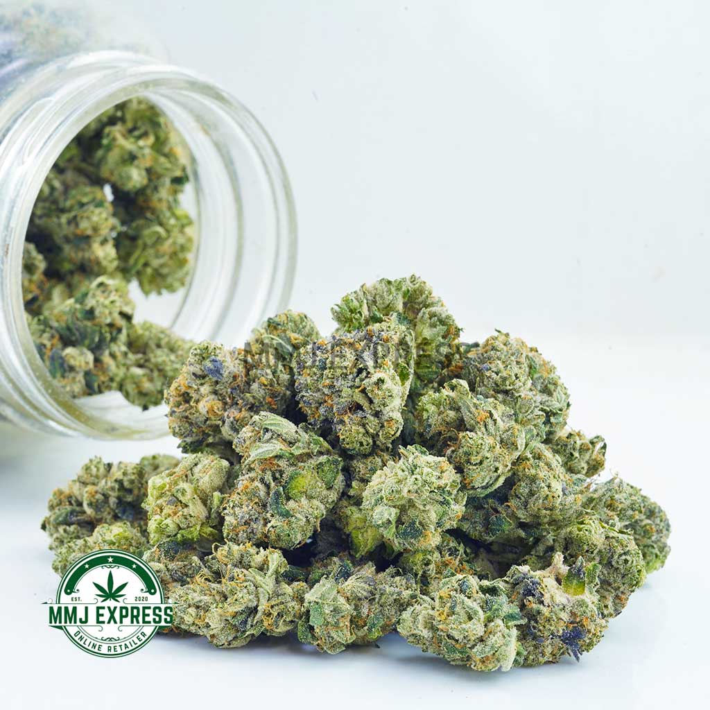 Buy Cannabis Master Kush Ultra (MKU) AAAA (Popcorn Nugs) MMJ Express Online Shop