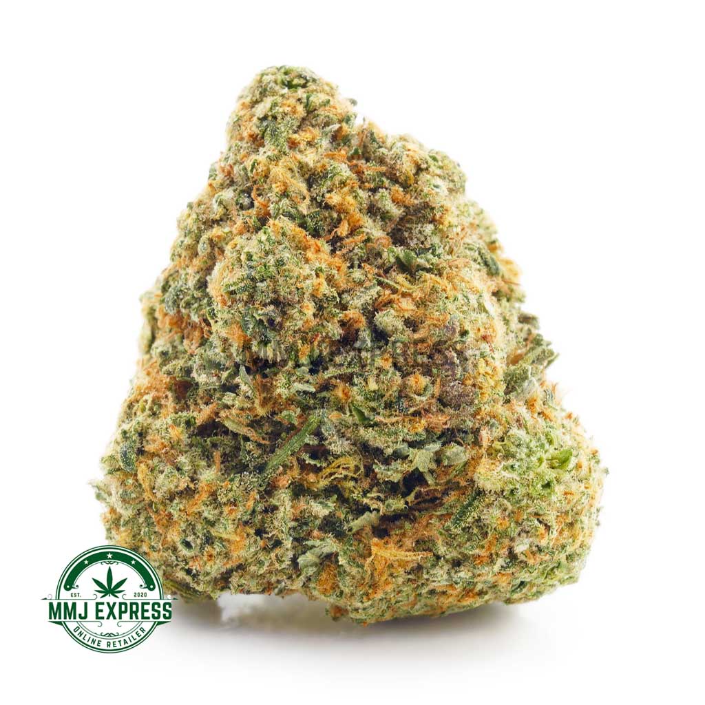 Buy Cannabis Girl Scout Cookies AA at MMJ Express Online Shop
