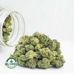 Buy Cannabis Slurmint AAAA (Popcorn Nugs) MMJ Express Online Shop