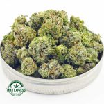 Buy Cannabis Charlie Sheen AAAA (Popcorn Nugs) MMJ Express Online Shop