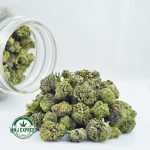 Buy Cannabis Charlie Sheen AAAA (Popcorn Nugs) MMJ Express Online Shop