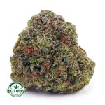 Buy Cannabis Cereal Milk AA at MMJ Express Online Shop