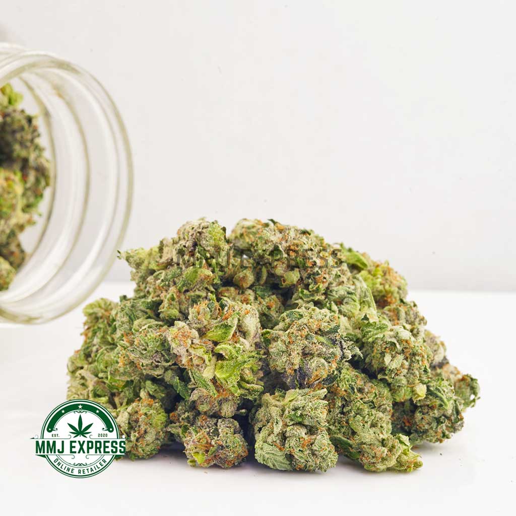 Buy Cannabis Platinum Bubba Kush AAAA (Popcorn Nugs) MMJ Express Online Shop