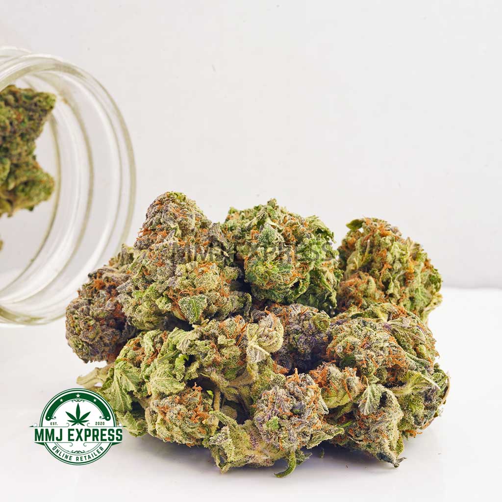 Buy Cannabis Durban Poison AA at MMJ Express Online Shop