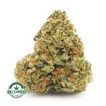Buy Cannabis Blueberry Icewreck  AA at MMJ Express Online Shop