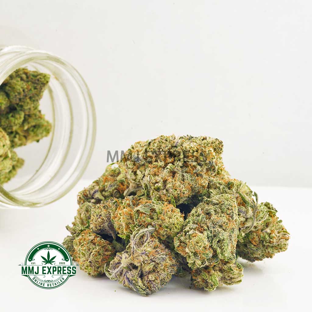 Buy Cannabis Blueberry Icewreck  AA at MMJ Express Online Shop