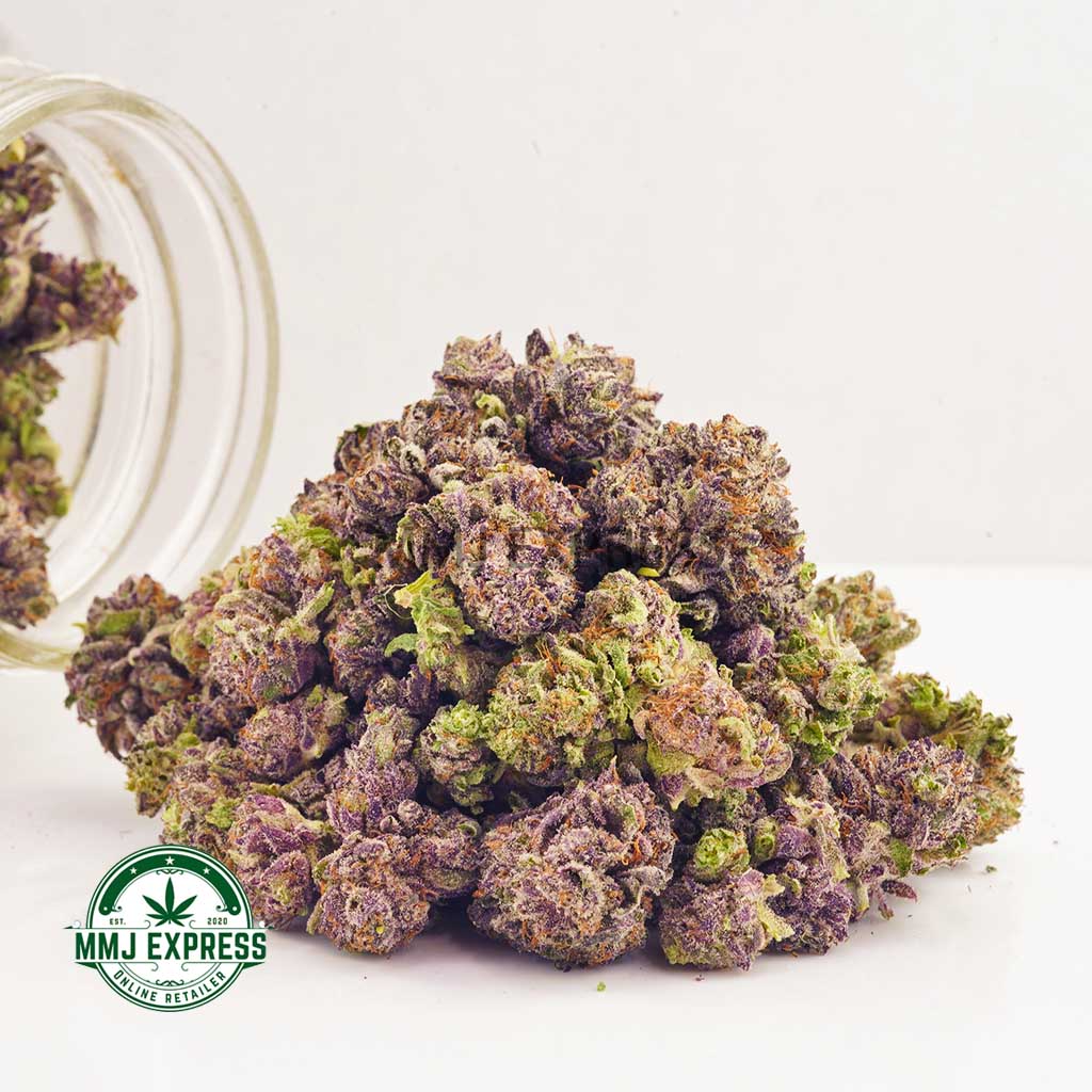 Buy Cannabis Purple Urkle AAAA (Popcorn) at MMJ Express Online Shop