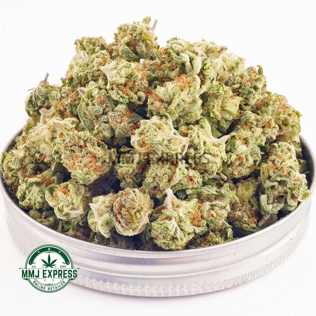 Buy Cannabis Candyland AA (Popcorn Nugs) MMJ Express Online Shop