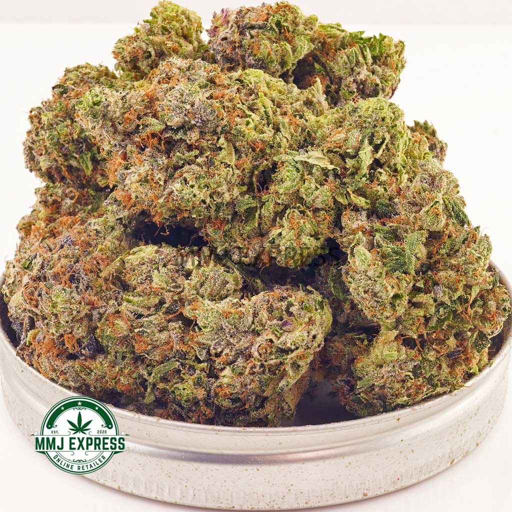 Buy Cannabis Tom Ford AAAA at MMJ Express Online Shop