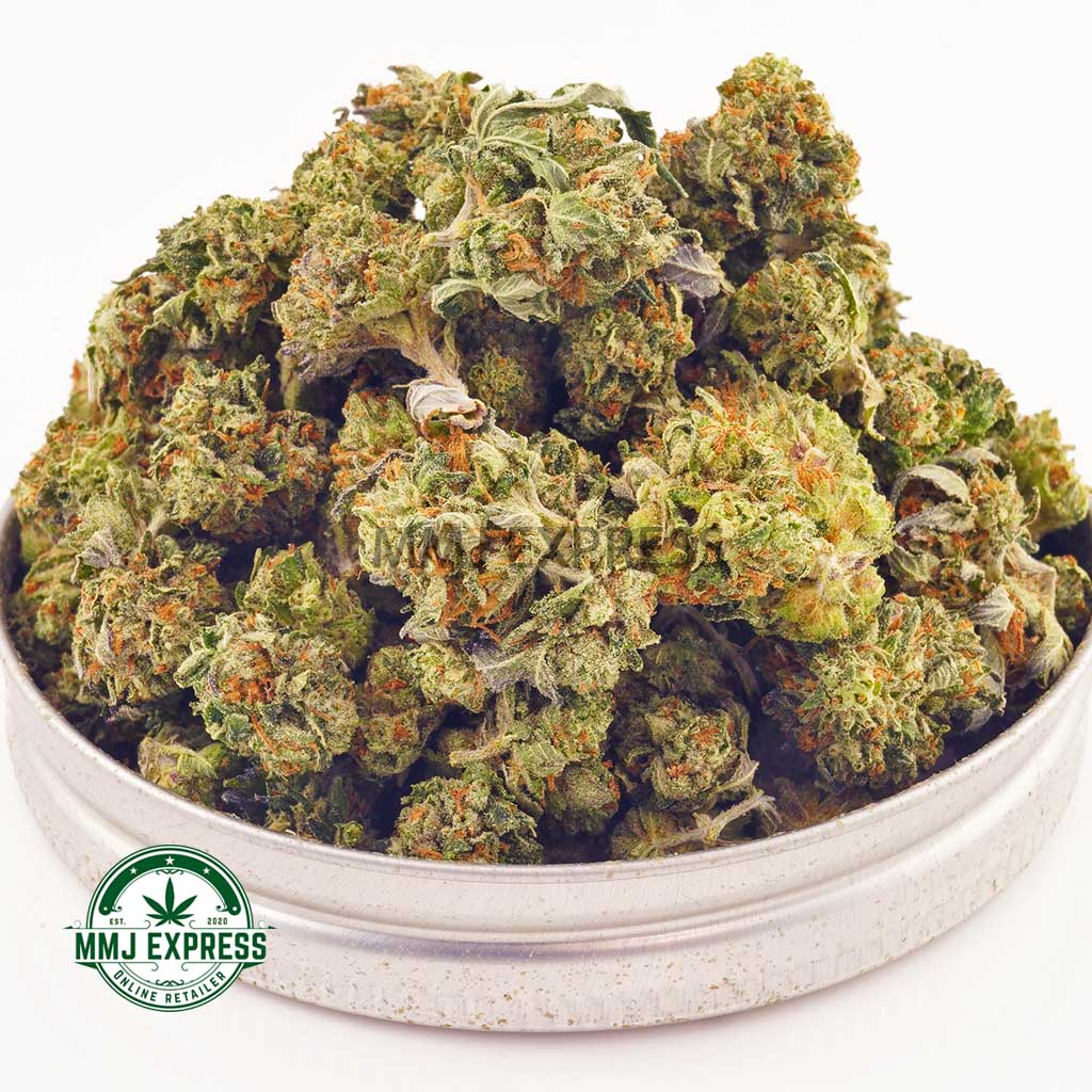 Buy Cannabis Granddaddy Rockstar AAAA (Popcorn) at MMJ Express Online Shop