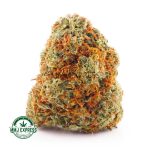 Buy Cannabis Orange Biscotti AAA at MMJ Express Online Shop