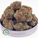 Buy Cannabis Durban Poison AA at MMJ Express Online Shop