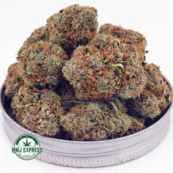 Buy Cannabis Durban Poison AA at MMJ Express Online Shop