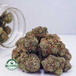 Buy Cannabis Durban Poison AA at MMJ Express Online Shop