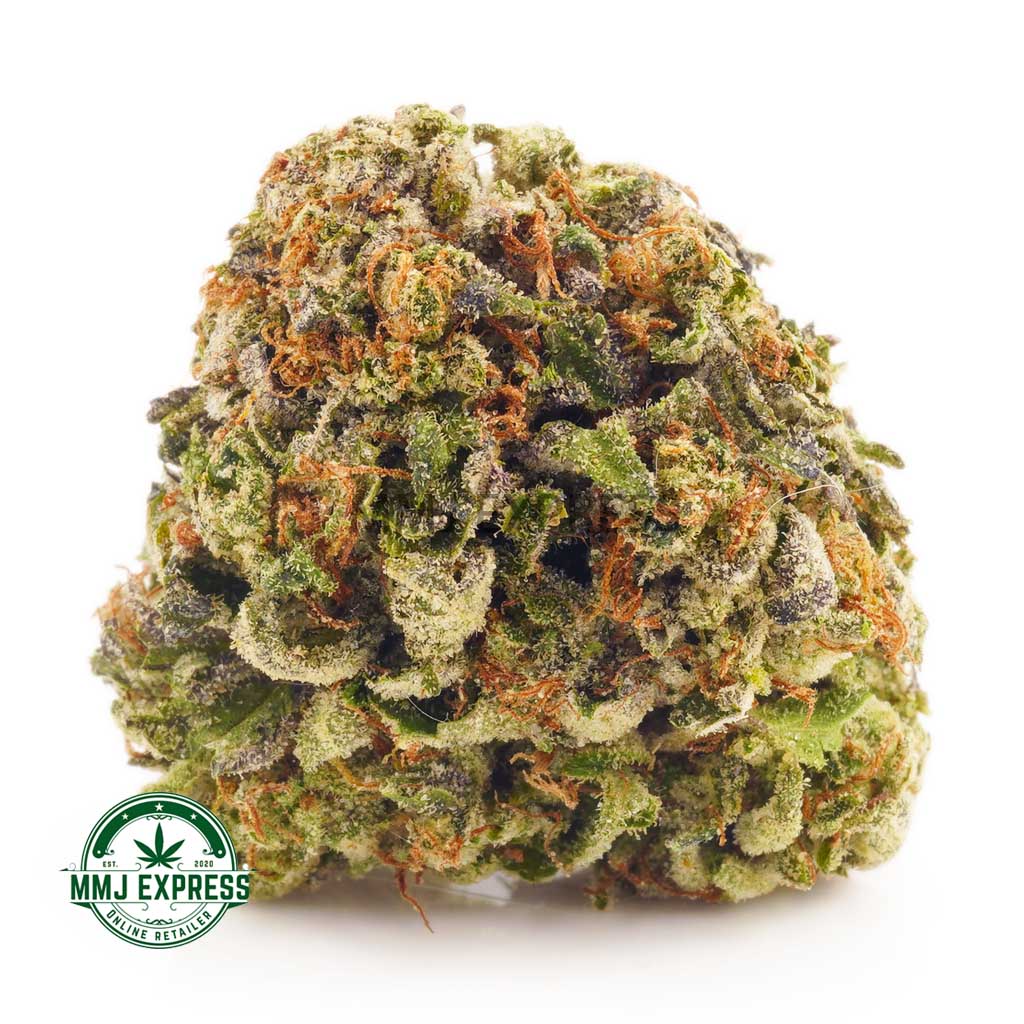 Buy Cannabis Blueberry Crush AA at MMJ Express Online Shop