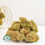 Buy Cannabis Zkittlez AAA at MMJ Express Online Shop