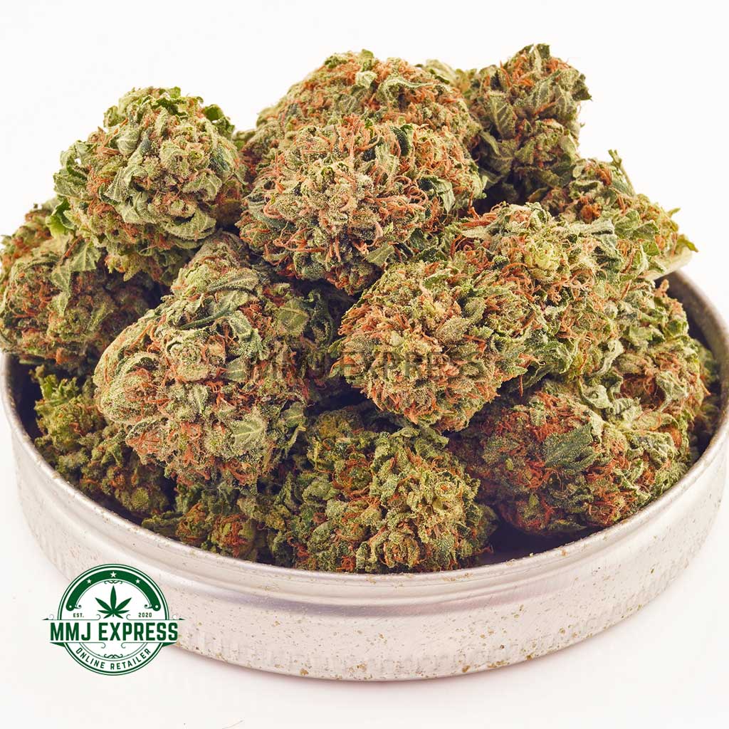 Buy Cannabis Kush Berry AA at MMJ Express Online Shop