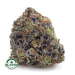 Buy Cannabis Granddaddy Purple AAA at MMJ Express Online Shop