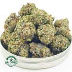Buy Cannabis Black Gorilla AAAA+ at MMJ Express Online Shop