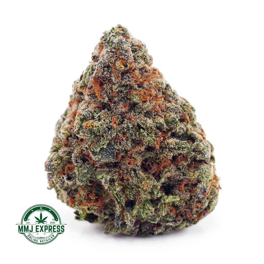 EA SUNDAEDRIVER MMJ Buy Cannabis Sundae Driver AA at MMJ Express Online Shop