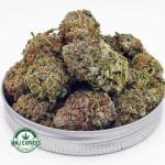Buy Cannabis Sundae Driver AA at MMJ Express Online Shop