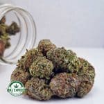 Buy Cannabis Sundae Driver AA at MMJ Express Online Shop
