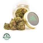 Buy Cannabis Gas Leak - Super Gelato AAAA at MMJ Express Online Shop