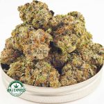 Buy Cannabis Gas Leak - Super Gelato AAAA at MMJ Express Online Shop