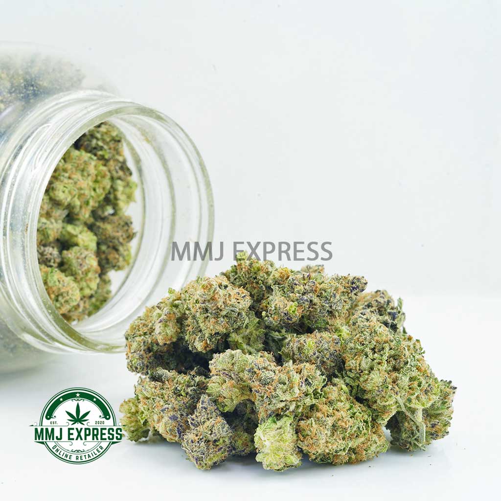 Buy Cannabis Girl Scout Cookies AAAA (Popcorn Nugs) MMJ Express Online Shop