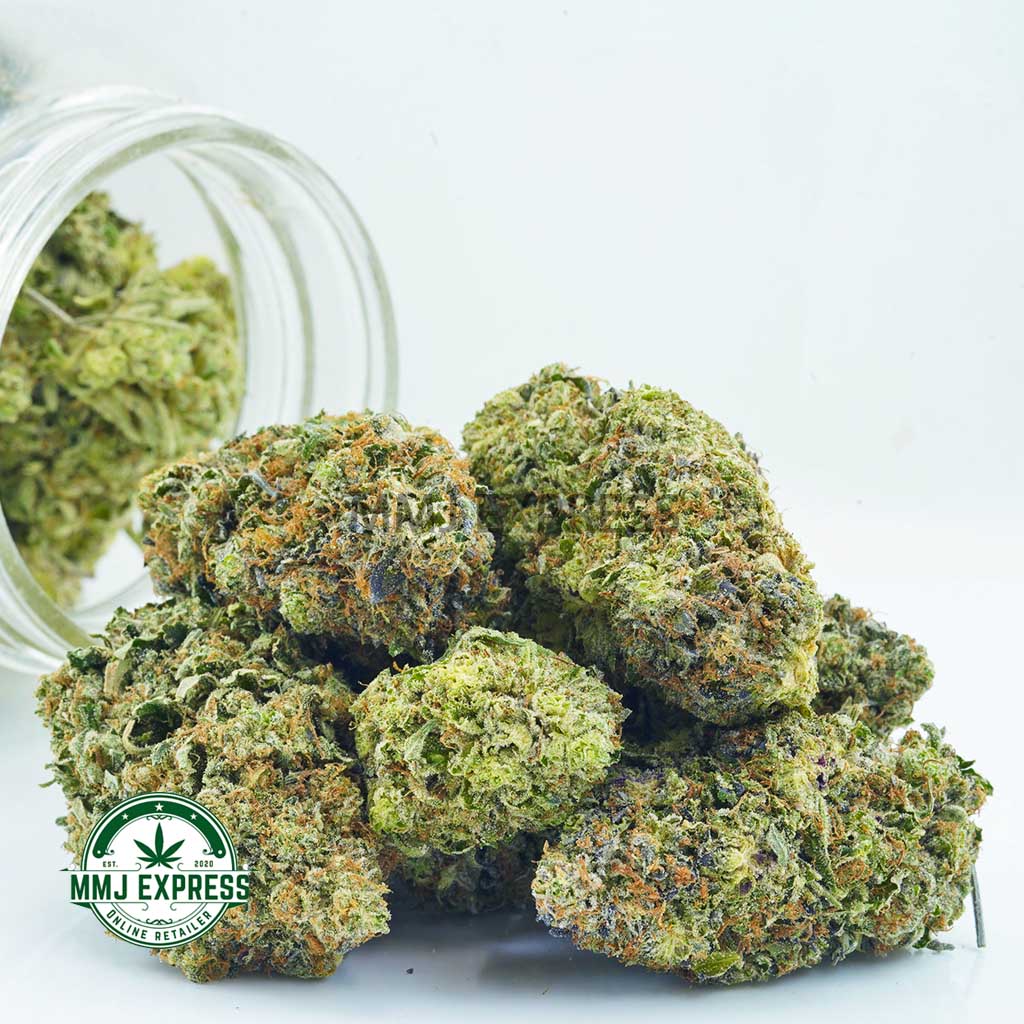 Buy Cannabis Island Pink Kush AAAA at MMJ Express Online Shop