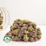 Buy Cannabis Purple Afghani AAAA (Popcorn Nugs) MMJ Express Online Shop
