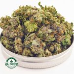 Buy Cannabis Super Nuken AAAA (Popcorn Nugs) MMJ Express Online Shop