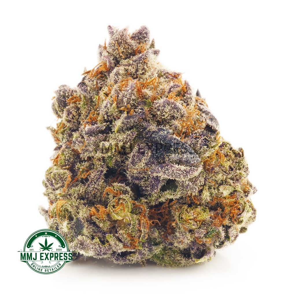 Buy Cannabis Purple Godbud AAAA at MMJ Express Online Shop