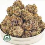 Buy Cannabis Purple Godbud AAAA at MMJ Express Online Shop