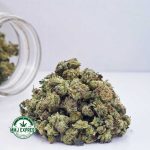Buy Cannabis Watermelon Kush AAAA (Popcorn Nugs) MMJ Express Online Shop