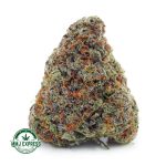 Buy Cannabis Blueberry Kush AAA at MMJ Express Online Shop