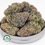 Buy Cannabis Blueberry Kush AAA at MMJ Express Online Shop