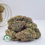 Buy Cannabis Blueberry Kush AAA at MMJ Express Online Shop