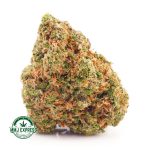 Buy weed Lemon Gelato budgetbuds at BC Cannabis online dispensary MMJ Express. weed online canada. top mail order marijuana.